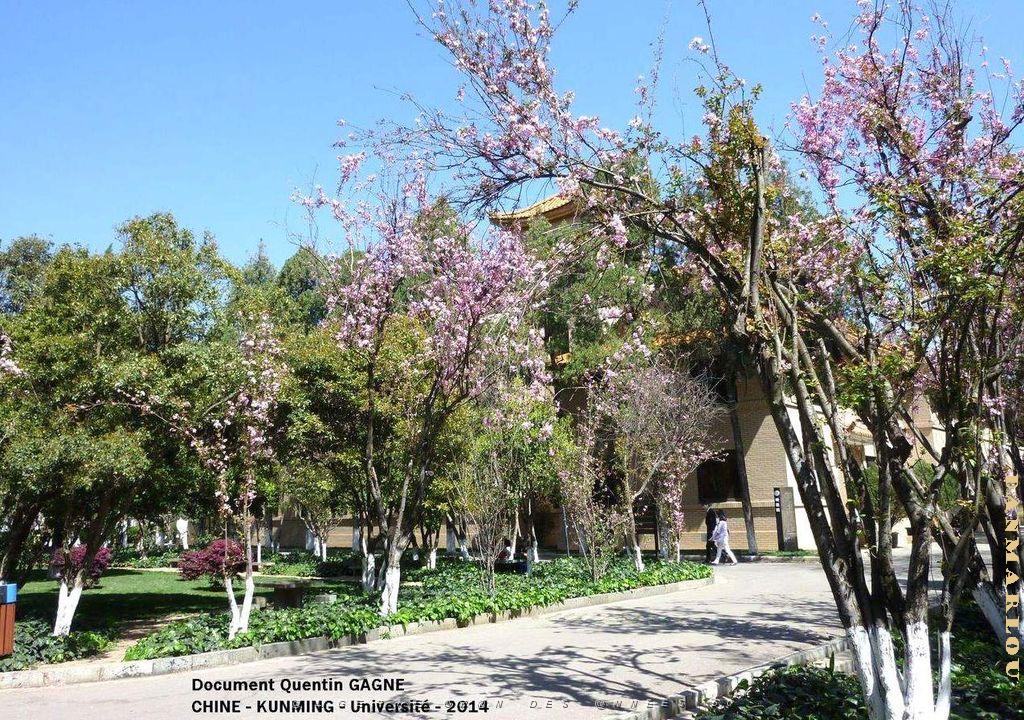 088-Quentin - Kunming .JPG